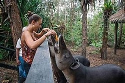 Ambergris Caye Belize Travel Tips and Advice