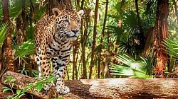 Ambergris Caye Belize Travel Tips and Advice