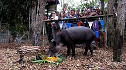 Ambergris Caye Belize Travel Tips and Advice From Experts