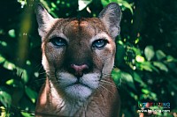 Ambergris Caye Belize Travel Tips and Advice From Experts