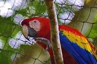 Ambergris Caye Belize Travel Tips and Advice From Experts