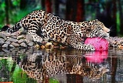 Belize Travel Tips and Advice For Americans