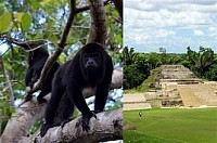 San Pedro Belize Travel Tips