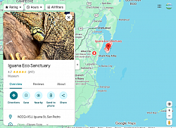 Iguana Eco Sanctuary