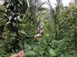 Direct Flights To San Pedro Belize From USA Today