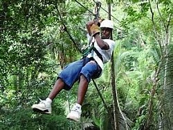 Direct Flights To San Pedro Belize From USA Price