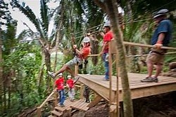 Direct Flights To San Pedro Belize From USA Price