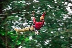 Direct Flights To San Pedro Belize From USA Price