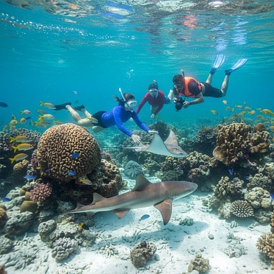 Ambergris Caye Belize travel tips and advice feature Ambergris Caye Belize travel tips and advice blog and Ambergris Caye hotels. Ambergris Caye Belize travel tips and advice offer a comprehensive outlook of things to do in Ambergris Caye and San Pedro Belize.